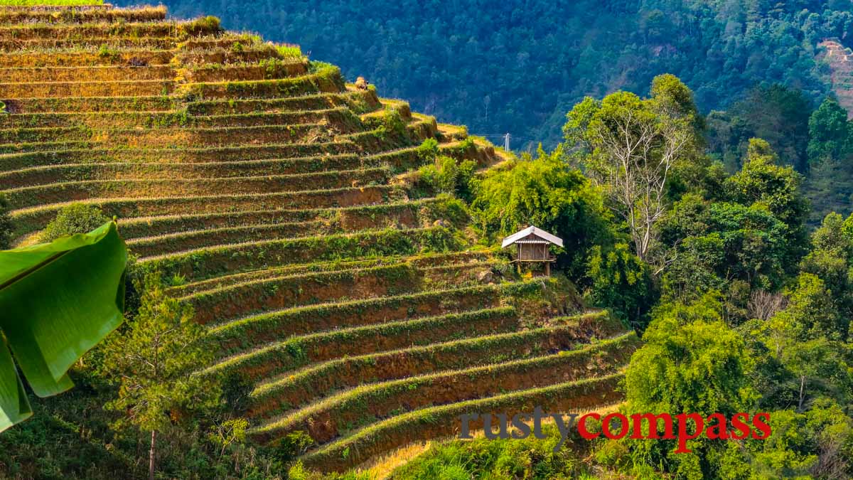 Mu Cang Chai, Yen Bai Province, VIetnam